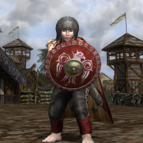 The shield was chosen to complement the red on the leggings and cloak.