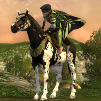 An outfit made to match a steed.