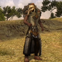 Mûmak-warrior of Far Harad